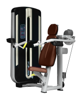 Дельта-машина BRONZE GYM MNM-003А 